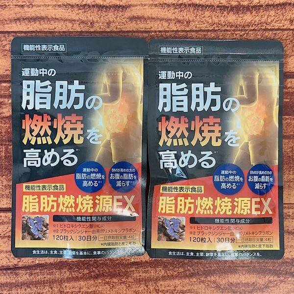 【新品未開封】脂肪燃焼源 EX PREMIUM ダイエット サプリメント 機能性表示食品 120粒入 30日分 2セット