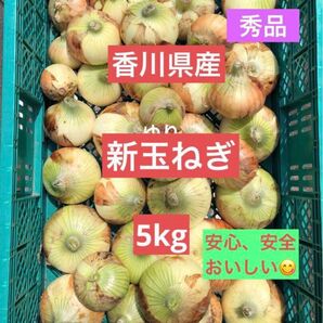 農薬無し栽培 新鮮 新玉ねぎ 5kg (箱を除いた野菜だけの重量)