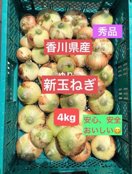農薬無し栽培 新鮮 新玉ねぎ 4kg (箱を除いた野菜だけの重量)