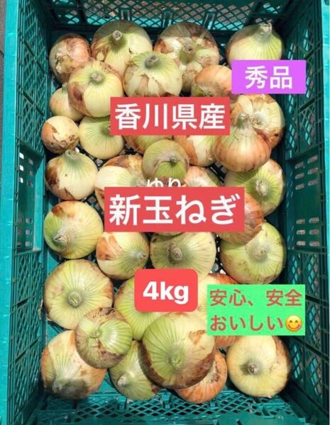 農薬無し栽培 新鮮 新玉ねぎ 4kg (箱を除いた野菜だけの重量)