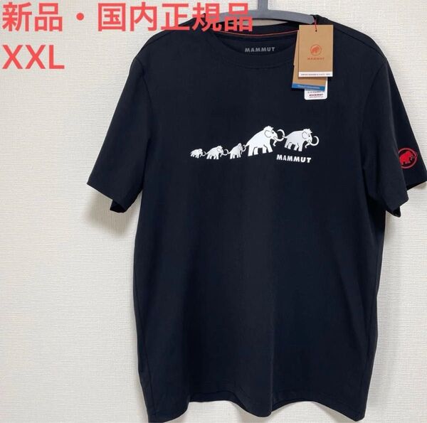 マムート MAMMUT Tシャツ 半袖 メンズ QD Logo Print T-Shirt AF Men 新品・国内正規品