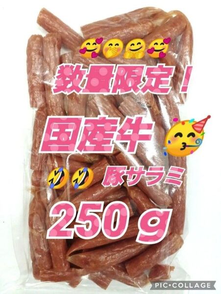 宮内ハム 国産牛・豚サラミソーセージ250g×1袋 高級 てんこ盛り 山形の味 お酒のおつまみ サラミ 大容量 アウトレット