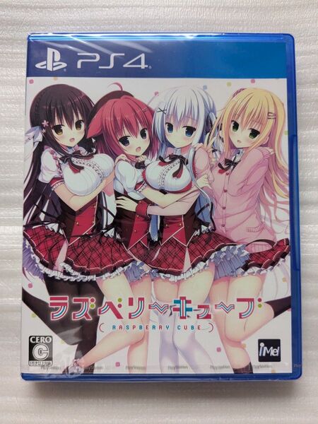 新品 PS4 ラズベリーキューブ Raspberry Cube