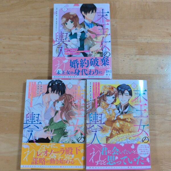 「末王女の輿入れ~その陰で嵌められ、使い捨てられた王女の影武者の少女が自分の幸せを掴むまで~ 1〜 3」完結