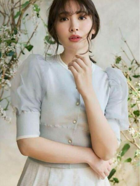 herlipto Organdy Volume Sleeve Knit Top