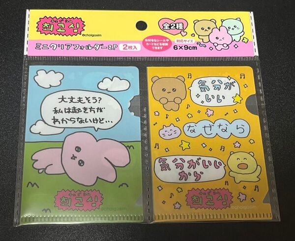 チェゴシム ミニクリアフォルダー 2P