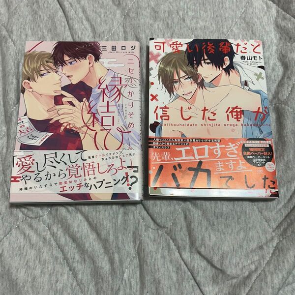 BL まとめ売り ③ 春山モト 三田ロジ 可愛い後輩だと信じた俺がバカでした ニセ恋かりそめ縁結び マンガ