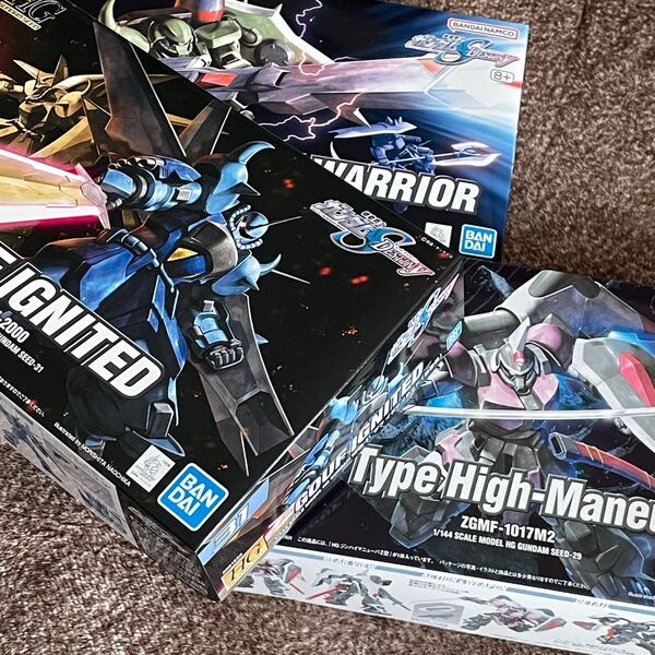 新品 HG 機動戦士ガンダムSEED グフイグナイテッド 他 3体セット ガンプラ 未組立