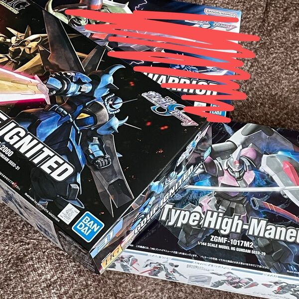 新品 HG 機動戦士ガンダムSEED グフイグナイテッド 他 2体セット ガンプラ 未組立