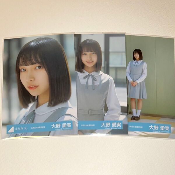 日向坂46 大野愛実 生写真 コンプ