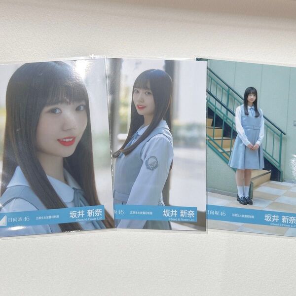 日向坂46 坂井新奈 お披露目衣装 生写真 コンプ