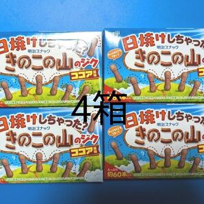 明治 きのこの山のジク ココア味 4箱