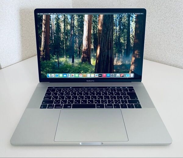 Apple Macbook Pro 2018 / Core i7 2.2GHz /16GB /256GB / 15インチ シルバー