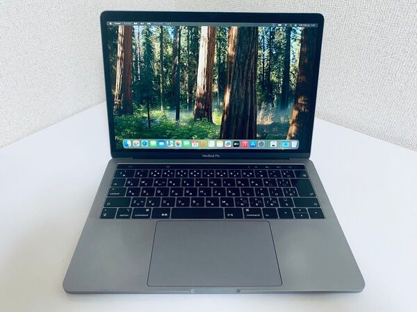 Apple MacBook Pro 13インチ 2018 i5 16GB 256GB