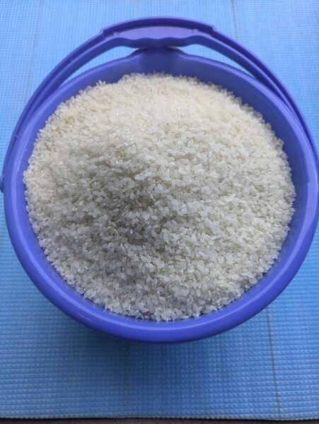 令和6年 お米 10㎏ 山梨 北杜米 コシヒカリ 精米 新入荷 在庫少ないです 02