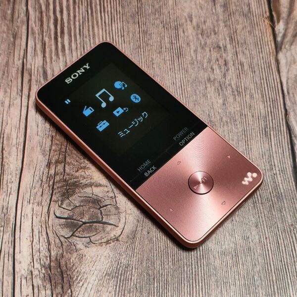 SONY ウォークマン NW-S313 4GB 超美品