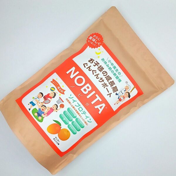 NOBITA ノビタ プロテイン マンゴーオレンジ味 600g ソイプロテイン