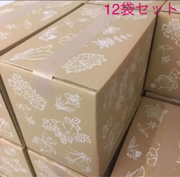 六花亭 無添加 ポテトチップス 1箱(12袋) セット