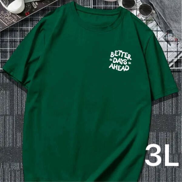 半袖Tシャツ 3L ラウンドネック Tシャツ クリエイティブプリント メンズ&レディース ユニセックス オーバーサイズ