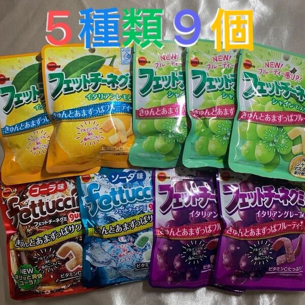 ブルボン フェットチーネグミ 5種類9個 まとめ売り グミ お菓子 おやつ フェットチーネ 詰め合わせ ビタミンCたっぷり 国産