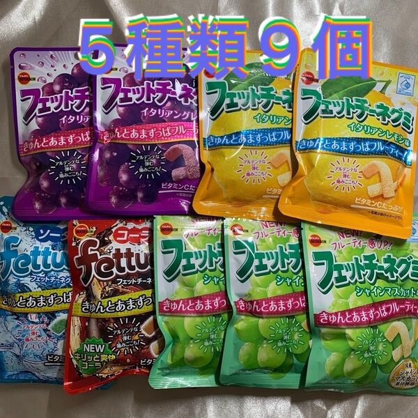 ブルボン フェットチーネグミ 5種類9個 まとめ売り グミ お菓子 おやつ フェットチーネ 詰め合わせ ビタミンCたっぷり 国産