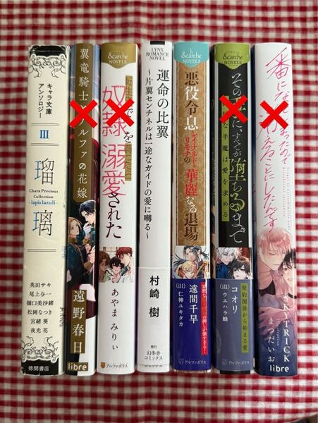 BL 小説 セット まとめ売り バラ売り 英田サキ 遠野春日 あやまみりぃ 村崎樹 遠間千早 コオリ ユー・チェンファン