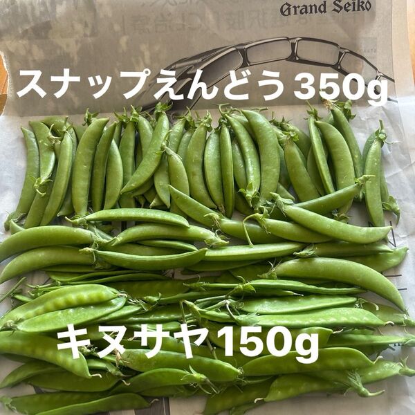 キヌサヤとスナップえんどう 無農薬 合わせて500g