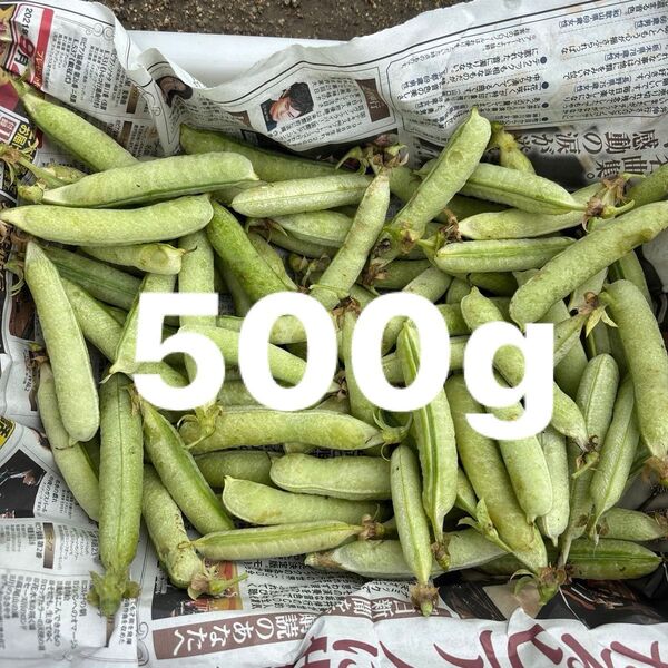 アラスカ豆 豆ご飯 約500g