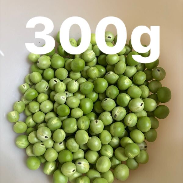 アラスカ豆 豆ご飯 300g 無農薬 むき身