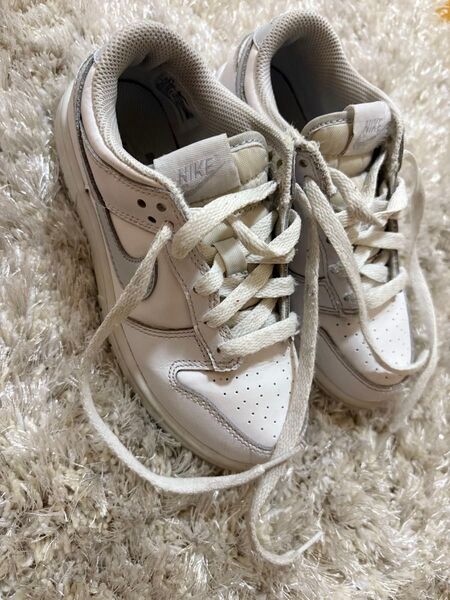 NIKE キッズ ダンク 19.5cm