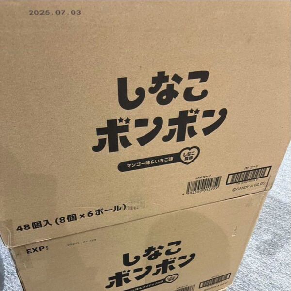 即日発送しなこぼんぼん マスターカートン 48個入り マンゴー味&いちご味