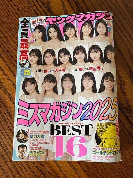 ヤングマガジン 2025年6月2日号 (講談社)
