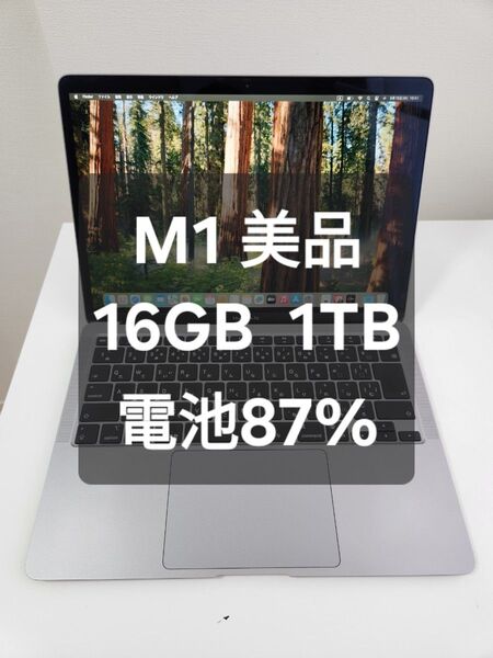 比較的美品 MacBook Air M1 メモリ16GB 1TB バッテリー87% グレー