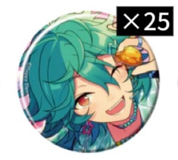 あんスタ 宝丈莱香 ライカ コレクション缶バッジ 2025 Feb