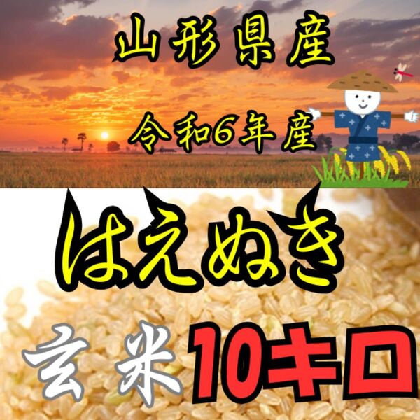 令和6年度産 山形県産はえぬき 玄米 10kg