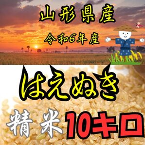 山形県産 はえぬき 令和6年産 新米 10kg