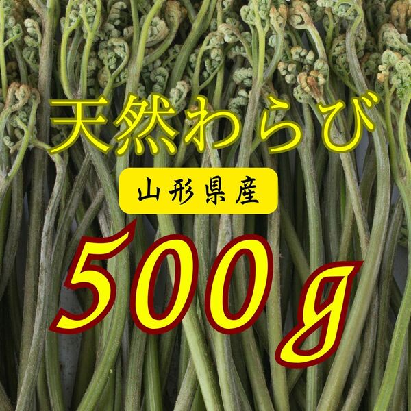 天然わらび 山形県産 500g