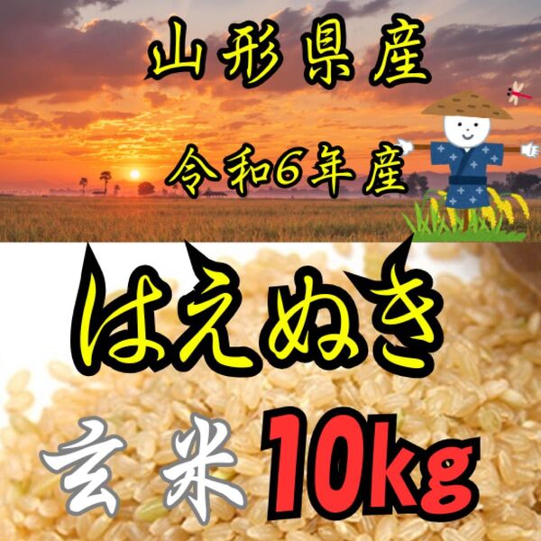 山形県産はえぬき玄米10kg 令和6年度