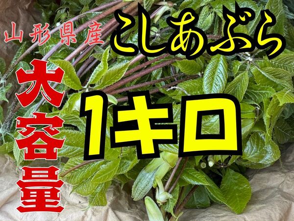 山形県産こしあぶら1キロ