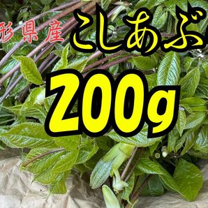 山形県産 こしあぶら 200g