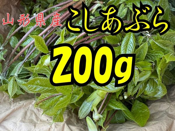 山形県産 こしあぶら 200g