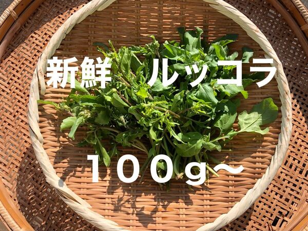 新鮮ルッコラ 100g〜 農薬不使用 ネコポスいっぱい