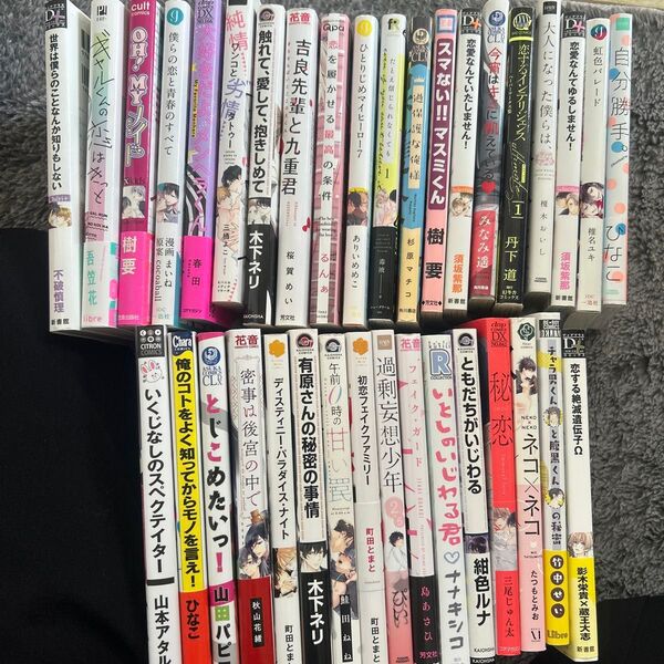 BLコミック 1冊100円