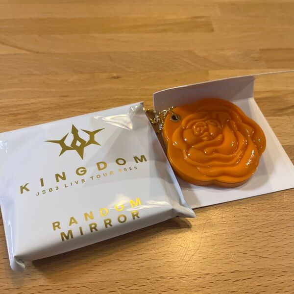 三代目 JSB3 kingdom ローズスライドミラー NAOTO