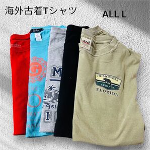 海外古着Tシャツ ALL L 5枚セット