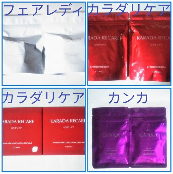 底値!最終値下げ!フェアレディ リッチジェル Lifwell リフウェル サプリメント各種セット (出品全ておまとめセット)