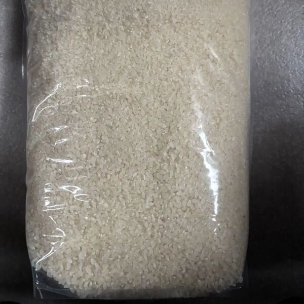 令和6年度 コシヒカリ 5キロ 無農薬