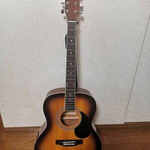 Honey Bee アコースティックギター F-15M/TS マットフィニッシュモデル