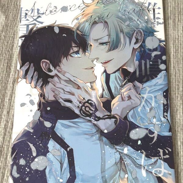 ブルーロック 同人誌 カイ潔