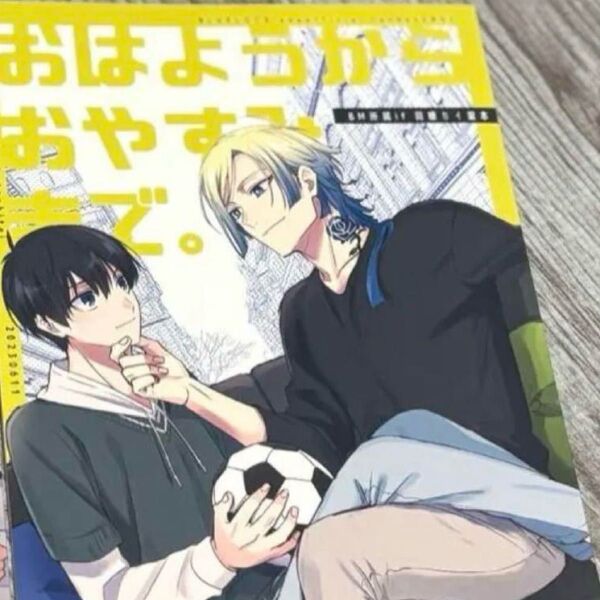 ブルーロック 同人誌 カイ潔